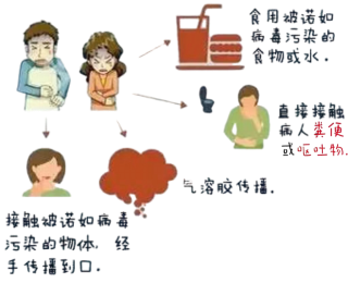2024.12.5何蓓【生命迈幼·安全第一】共筑防线，抵御诺如_html_m33257505.png