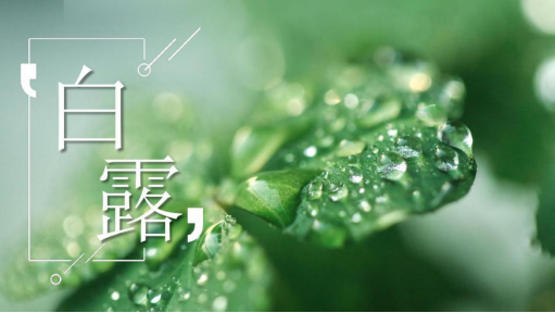 图片38.png