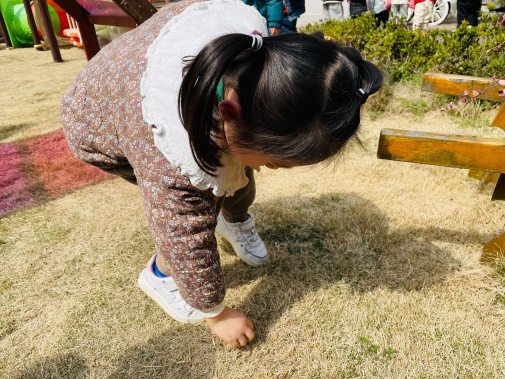 3.5雷锋活动_html_m2847a57b.jpg