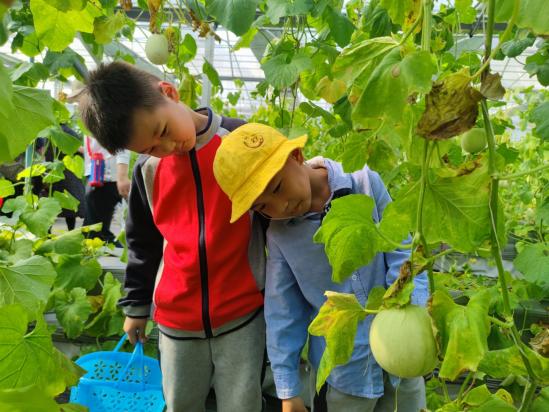 定稿：【生命迈幼·留住“秋”迹】探秘秋日，悦享秋游——迈幼嘉誉山分园秋游活动 (修改)_html_75c2628d.jpg