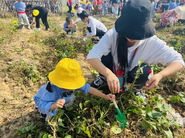 定稿：【生命迈幼·留住“秋”迹】探秘秋日，悦享秋游——迈幼嘉誉山分园秋游活动 (修改)_html_m3850da67.jpg