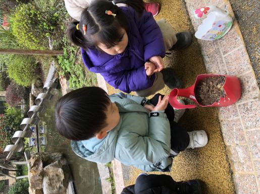 20210312新城植树节活动_html_m322c2c27.jpg