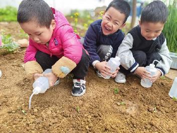 2023.5.29““植”此春绿 乐享耕趣” ——种植团活动_html_mf4a7ba2.jpg