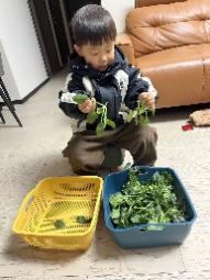 20241231【生活燕幼·园区动态】燕鸣苑分园：“寻年记，集五福”——庆祝元旦系列活动_html_m483728cb.jpg