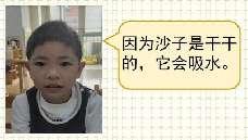 20241224大二班自然项目案例_html_693f83c9.jpg