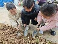 20240305中二班惊蛰节气活动_html_c464d11.jpg