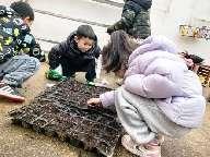 20240305中二班惊蛰节气活动_html_m7980a260.jpg