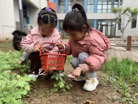 20240403【生活燕幼·园区动态】“浸润童心 情忆清明”——舌尖上的节气之清明_html_31471c82.jpg