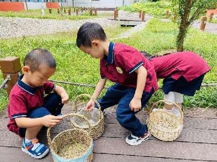 20230901燕幼集团开学第一天_html_m699b73f7.jpg