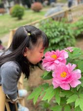 20240419【生活燕幼·班级动态】燕幼中心园：雨生百谷——大二班谷雨节气活动_html_1d181d94.jpg