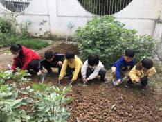 20210531祥和园种植团新闻_html_m4400d21c.jpg