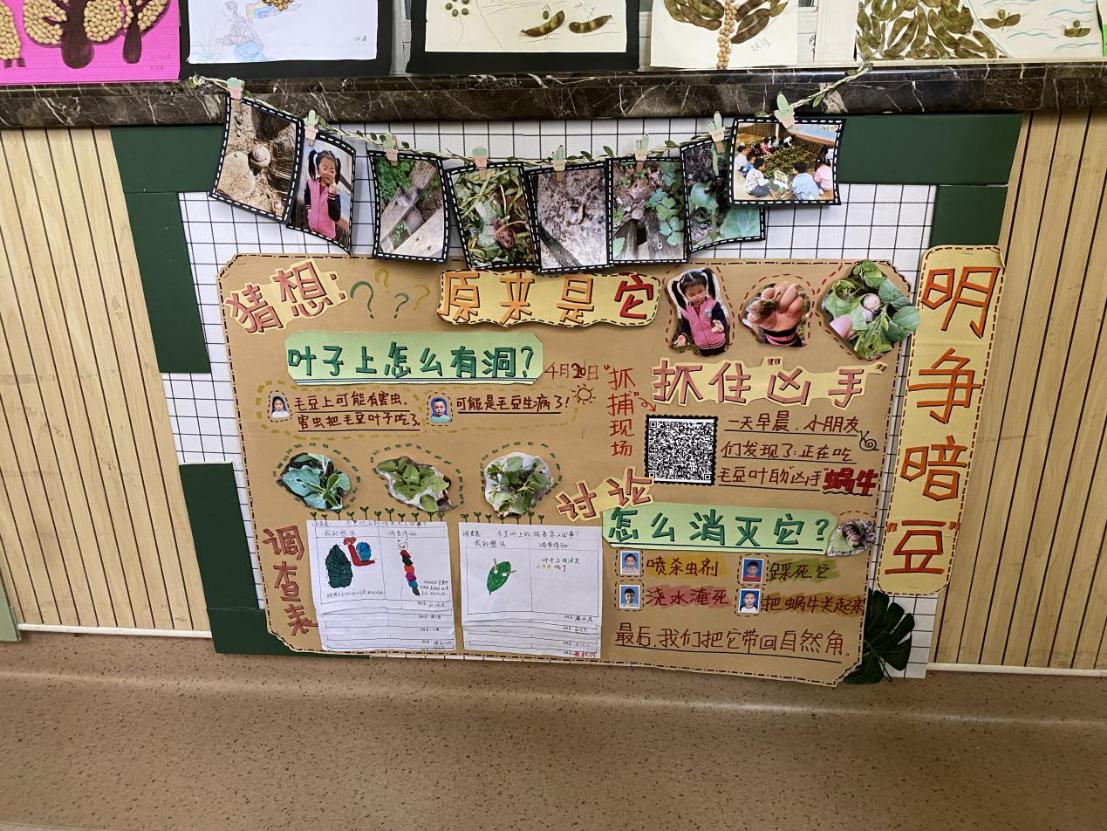 教研组动态_html_m17a49175.jpg