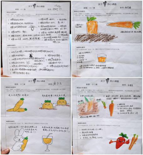 20210112【年级组动态】新城园区小二班项目活动_html_4b28df10.jpg