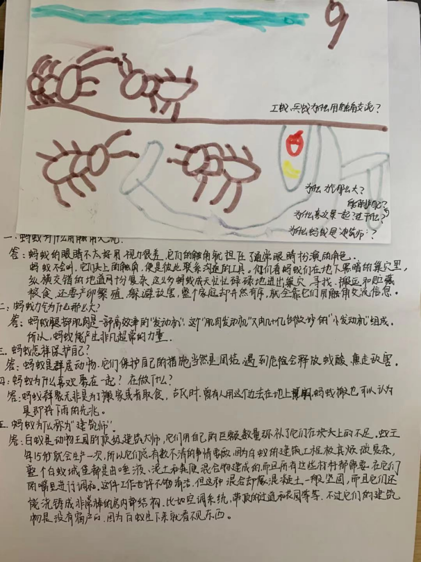 20210113【班级动态】大一班项目课程分享——蚂蚁探秘之旅_html_56fe4a7d.png