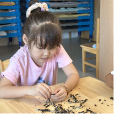 20251018【生活燕幼】“诞辰纪念行知先生 ,陶娃传承教育之光”——纪念陶行知诞辰134周年活动新闻稿_html_m3c8e1c62.png