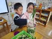 20241122【生活燕幼·园区动态】中心园：“小雪至，寒冬始”——小雪节气活动_html_338e6ac6.jpg