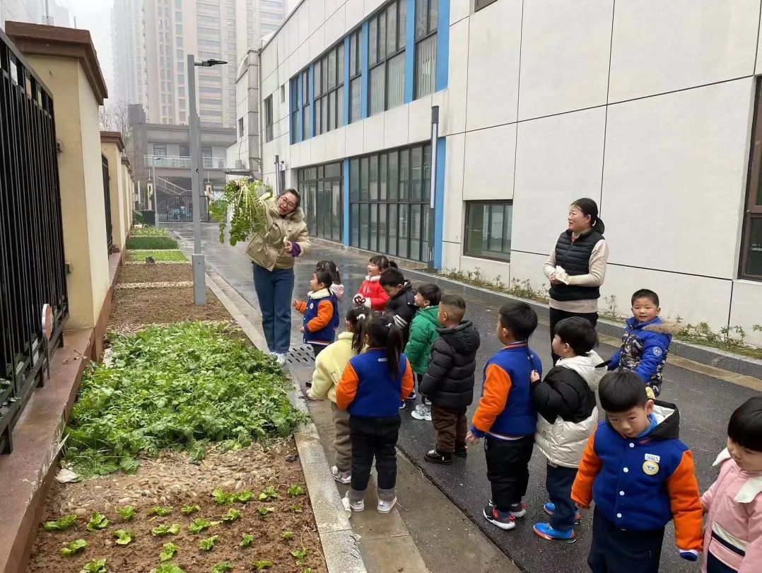 20230206【生活燕幼&middot;园区动态】燕鸣苑分园：“春暖花开 萌兔归来”——新学期开学记_html_m7584cad9.jpg