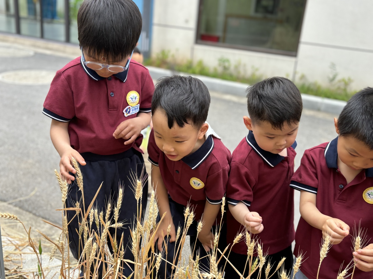 20240520 【生活燕幼·园区动态】“夏意芬芳，幸福满满”——舌尖上的节气之小满_html_4c49bc86.jpg