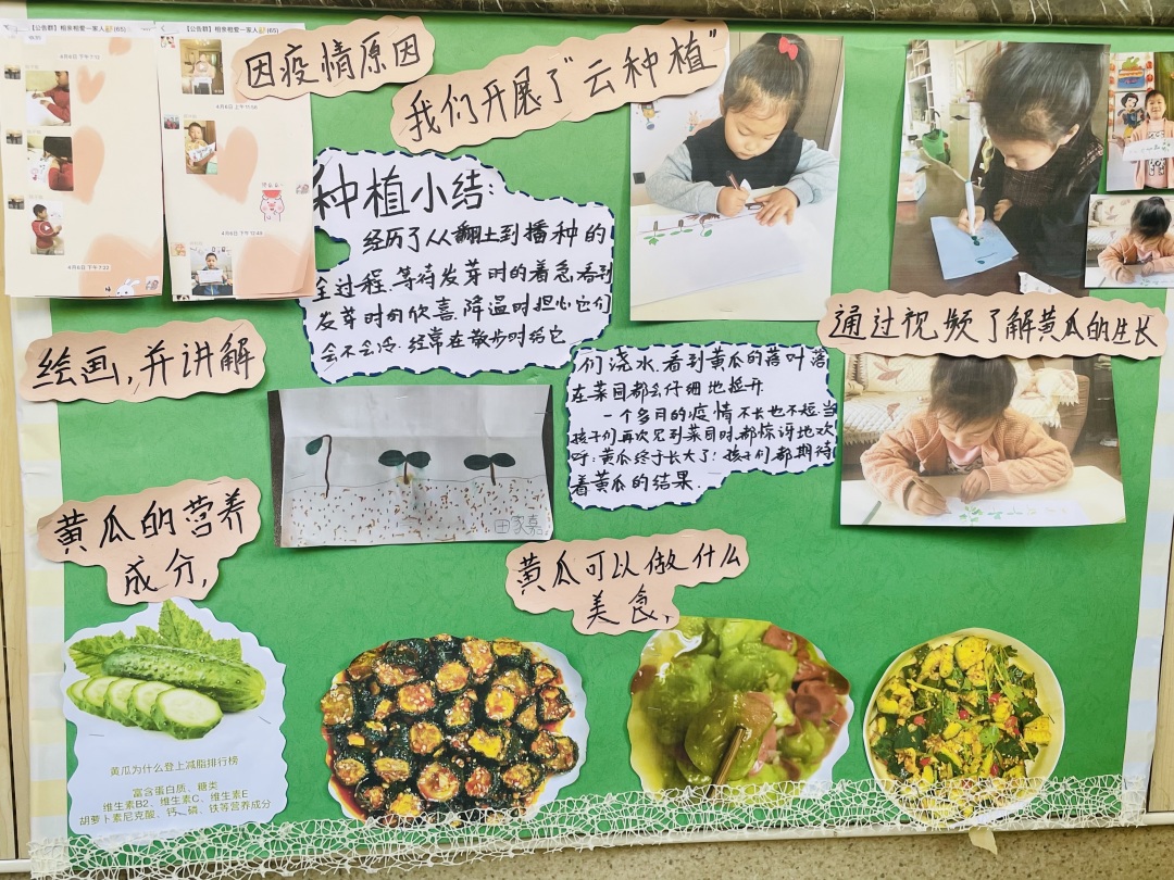 20220614【园区动态】下庙园区：“播种希望 收获成长”——班级种植墙评比活动新闻稿_html_m5f013336.jpg