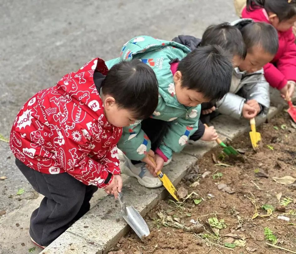 20230217【生活燕幼&middot;园区动态】燕鸣苑分园：一朝春雨 万物清明——雨水节气活动_html_m553dfc6b.jpg