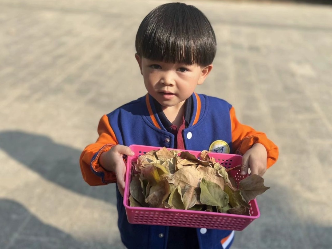 【生活燕幼·年级组动态】下庙分园：“走进公园，收集秋意”——小班组社区活动(1)_html_m83f5f44.jpg