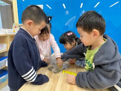 【生活燕幼&middot;教科研动态】 潜心教研　共促成长——科学组公开课教研活动_html_5027864.jpg
