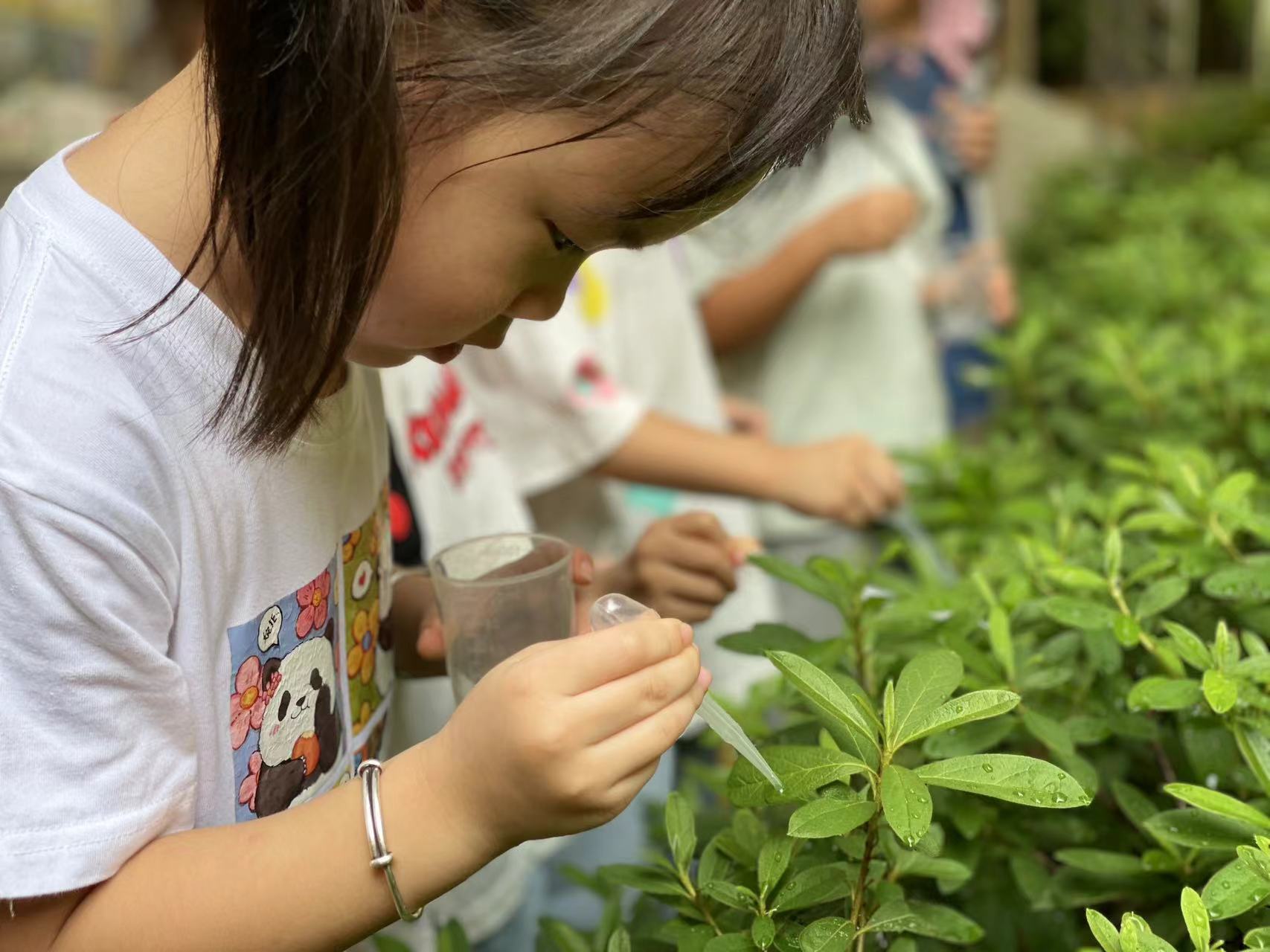 20240905【生活燕幼·园区动态】新城分园：“秋高气爽，白露生凉”——二十四节气活动活动_html_1b61f5ab.jpg