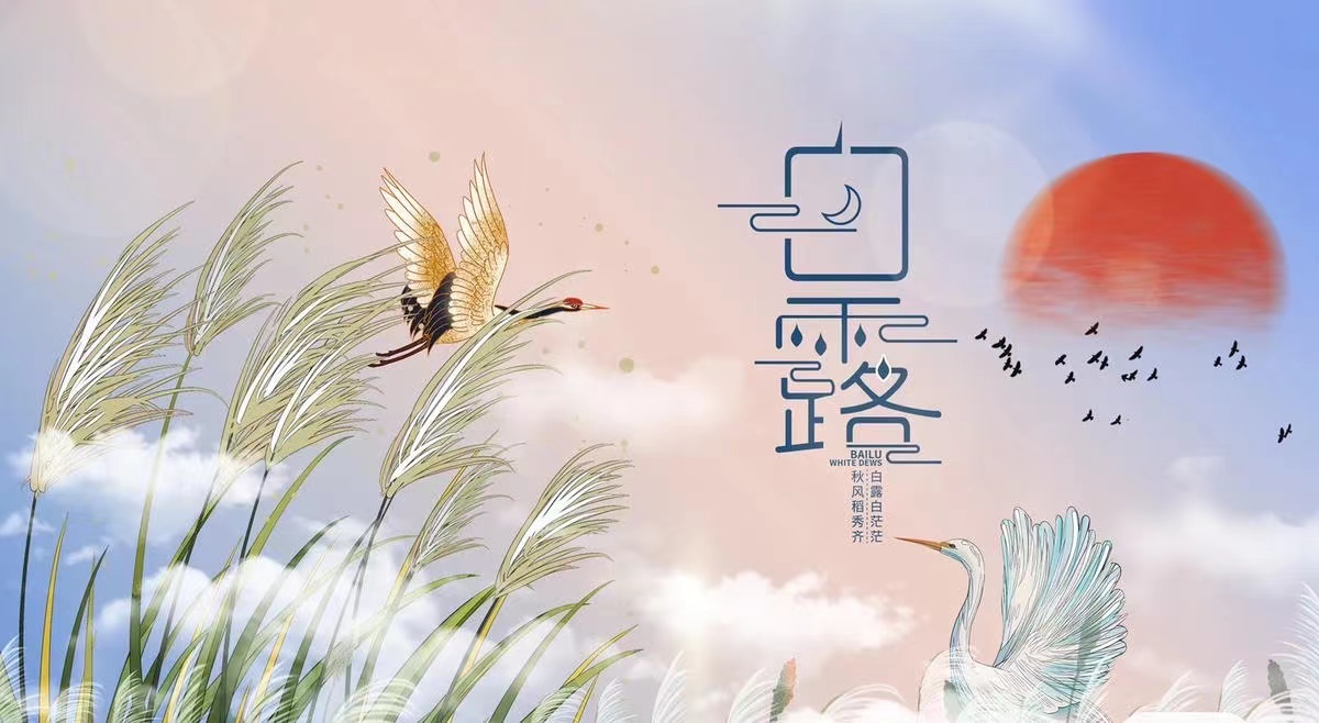 20240905【生活燕幼·园区动态】新城分园：“秋高气爽，白露生凉”——二十四节气活动活动_html_10a95e3a.jpg