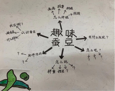 祥和园大班项目课程种植蚕豆新闻稿(1)_html_61d7c0e7.png