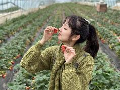 “赴一场春天的约会”——燕子矶幼儿园教职工工会活动555_html_5781adf9.jpg
