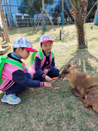 20230407燕幼中心园亲子春游活动_html_1a115cc6.png