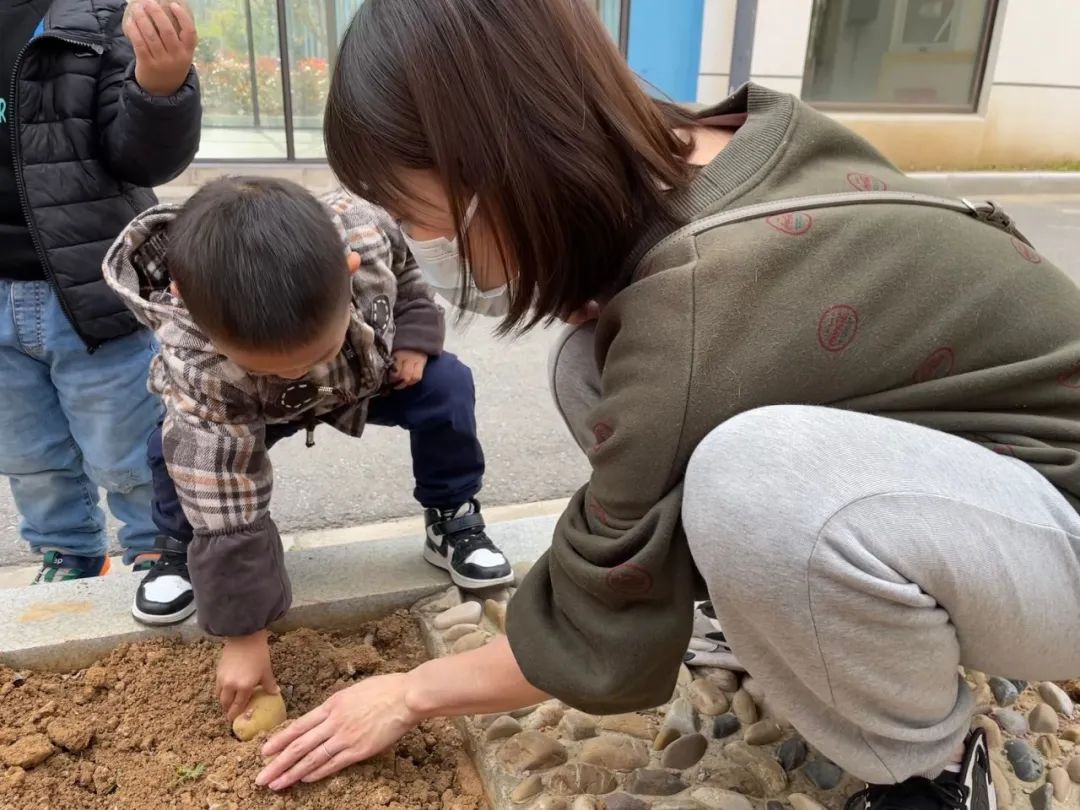 20230328【生活燕幼·园区动态】燕鸣苑分园：趣探惊蛰 万物新生——记小二班惊蛰节气活动_html_mebee8.jpg