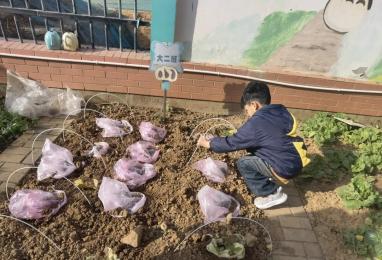 【生活燕幼·园区动态】下庙分园：“大雪至，寒冬始”——大雪节气活动_html_m7c64b751.jpg