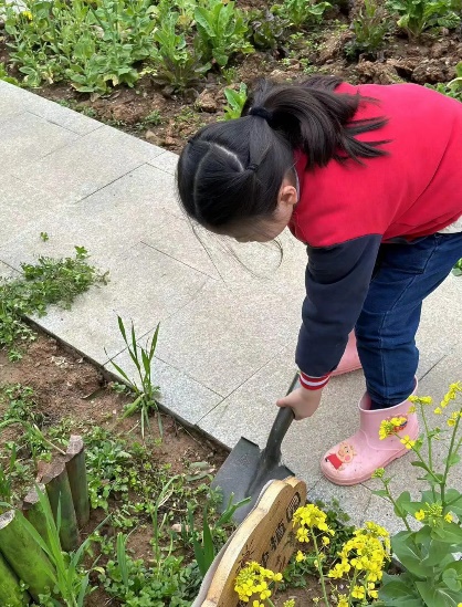 20230324新城园种植月活动（中期展示）_html_m2670cbd0.jpg