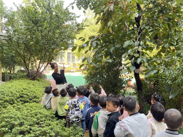 2024.10.8【园区动态】新城园区：袅袅凉风动，凄凄寒露零 ——小一班寒露节气活动_html_m1875219.jpg