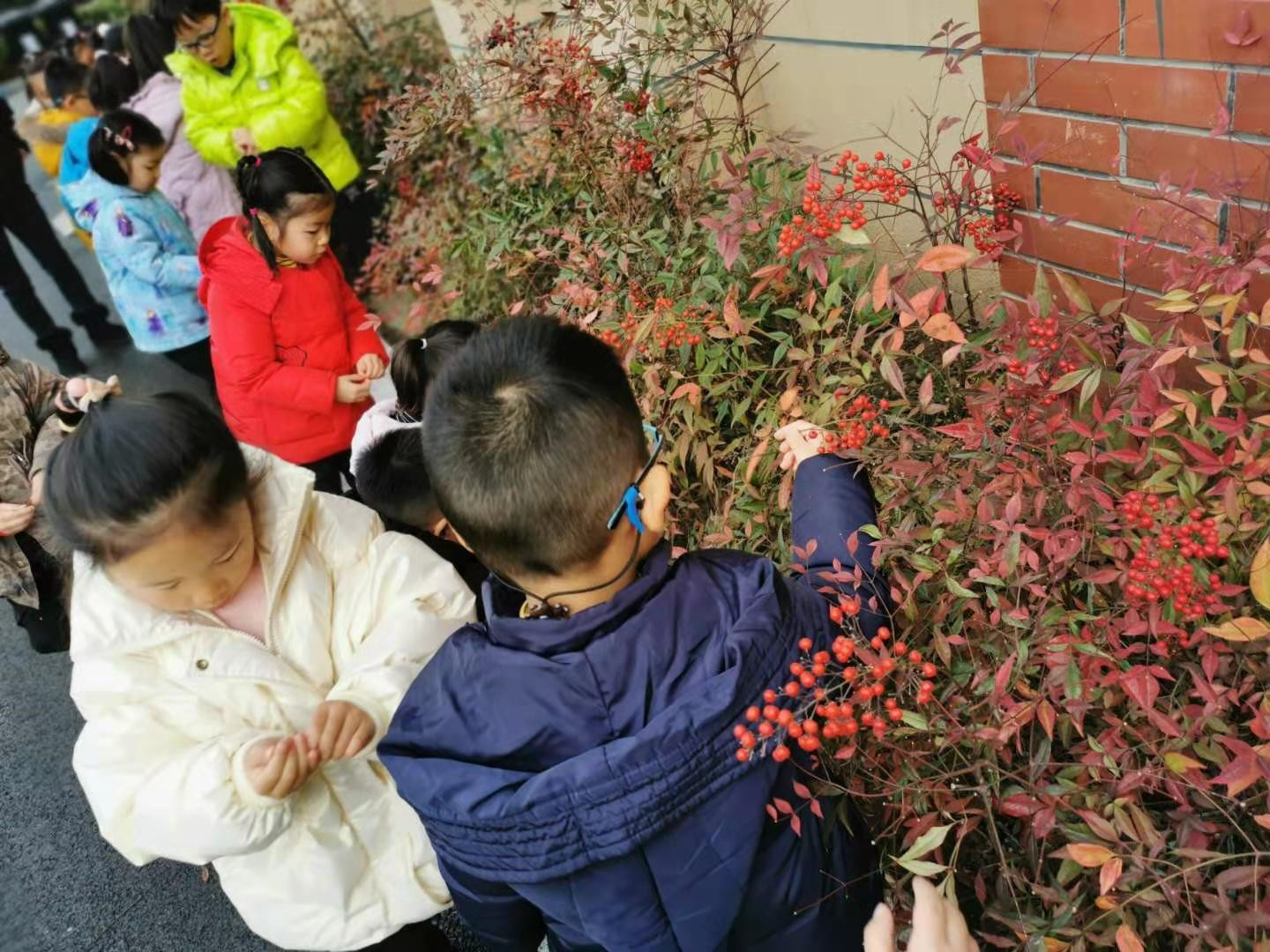 图片 4_2.jpg