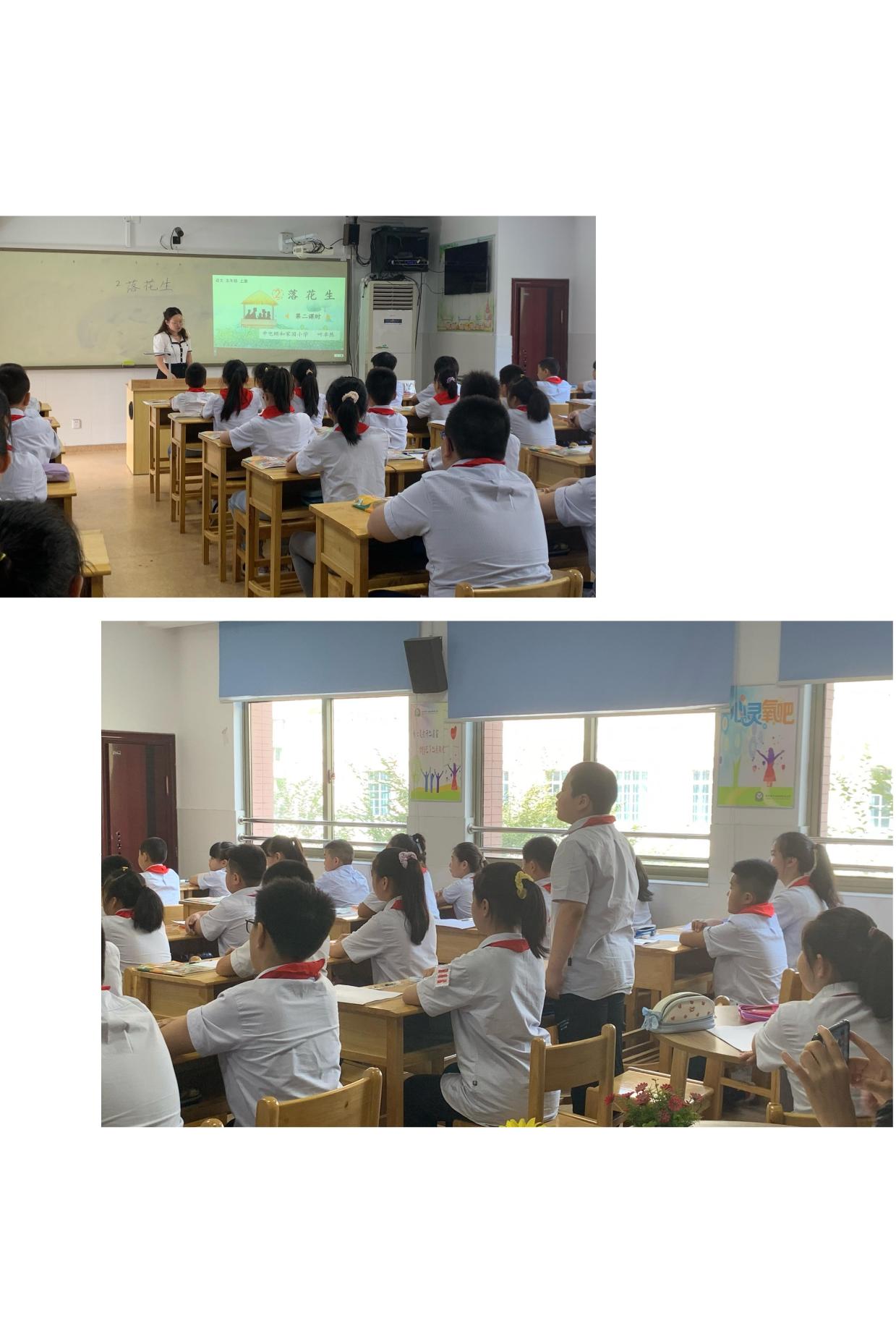 “落下”的是花生，长出的是知识  ——中电颐小语文组第一次教研活动