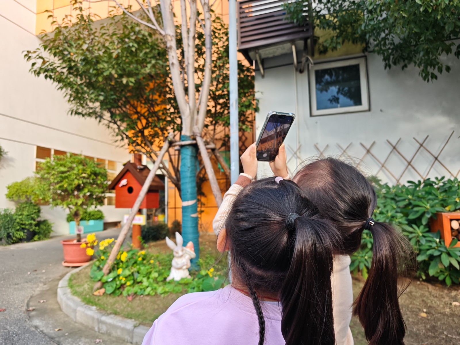 IMG_20251110_152843.jpg IMG_20251110_152843.jpg