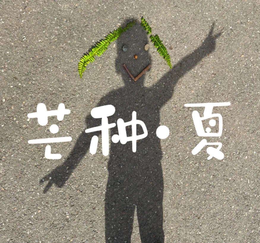 IMG_2989.PNG