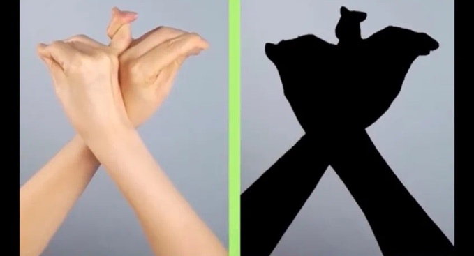 蝙蝠.jpg