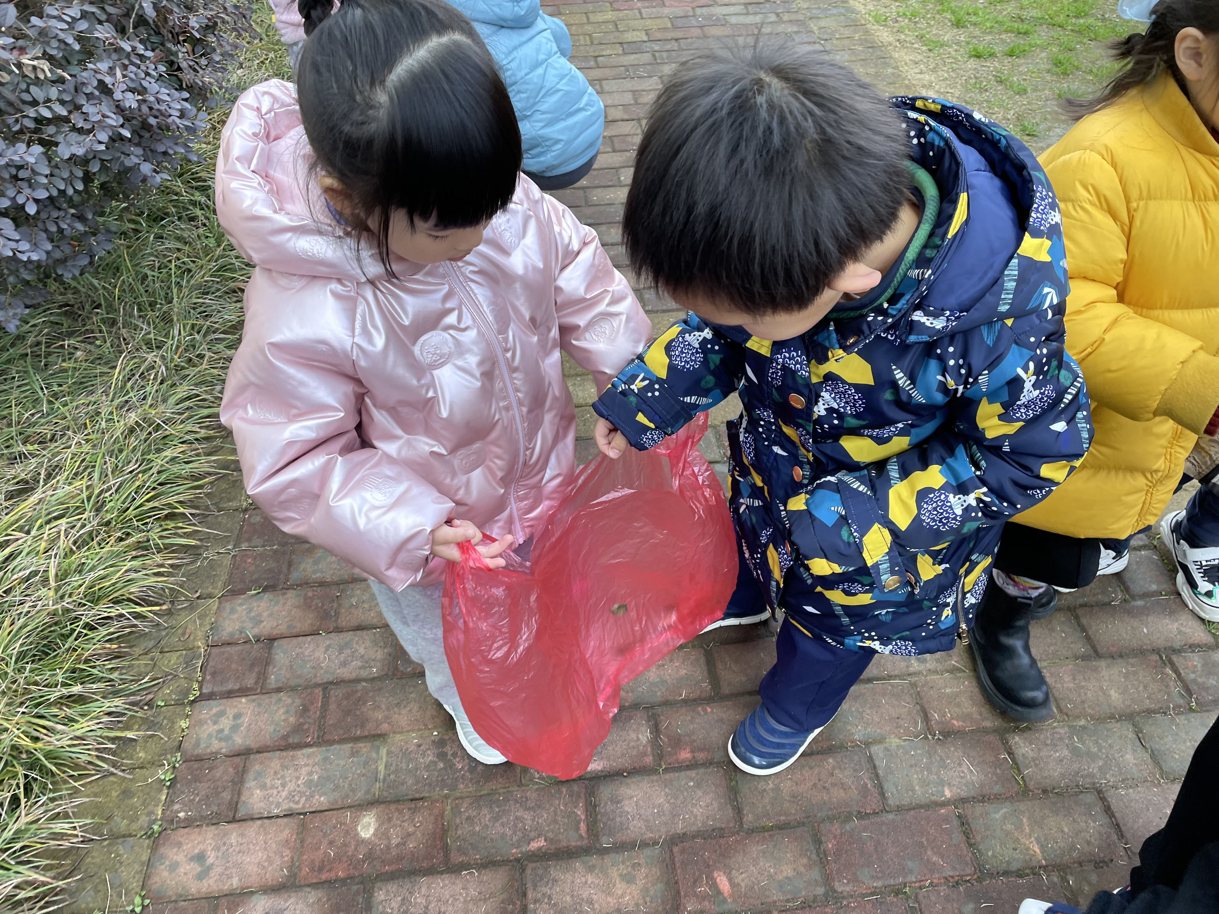 清洁校园行动 (2).png