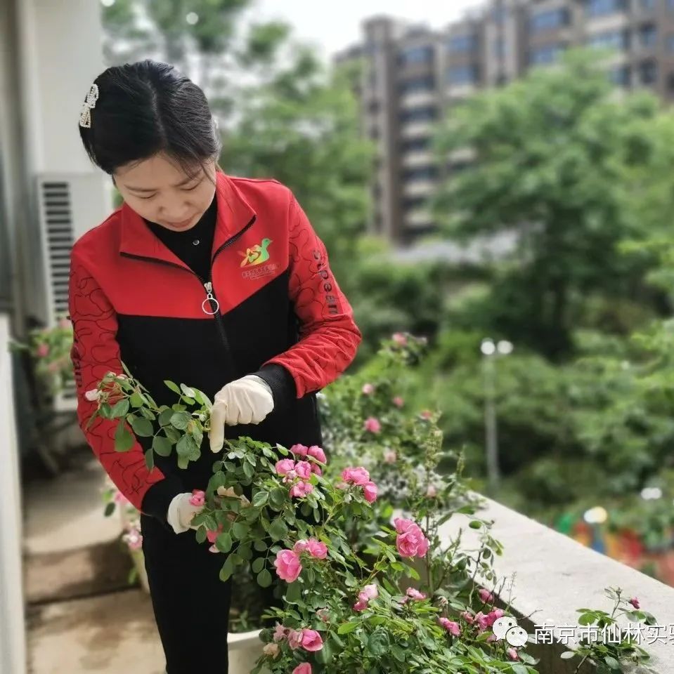 光启_html_m4aed9095.jpg