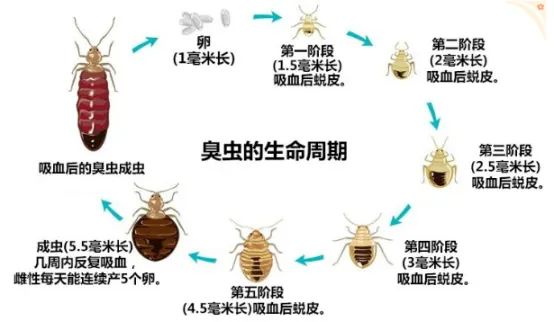 临时_html_m641fc0d.jpg