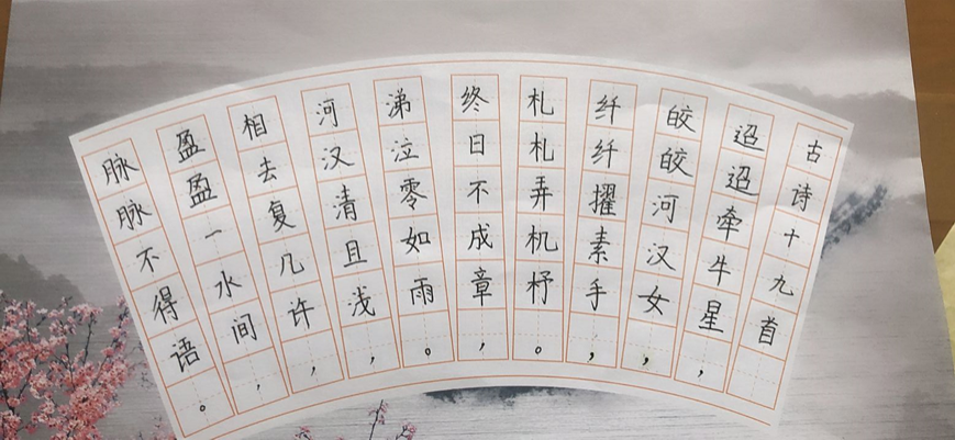 五年级推普周新闻稿_html_66ebcbcb.png