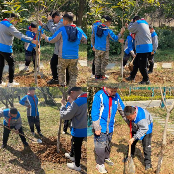 【大爱青秀】植树节新闻稿(2)_html_3518a359.jpg