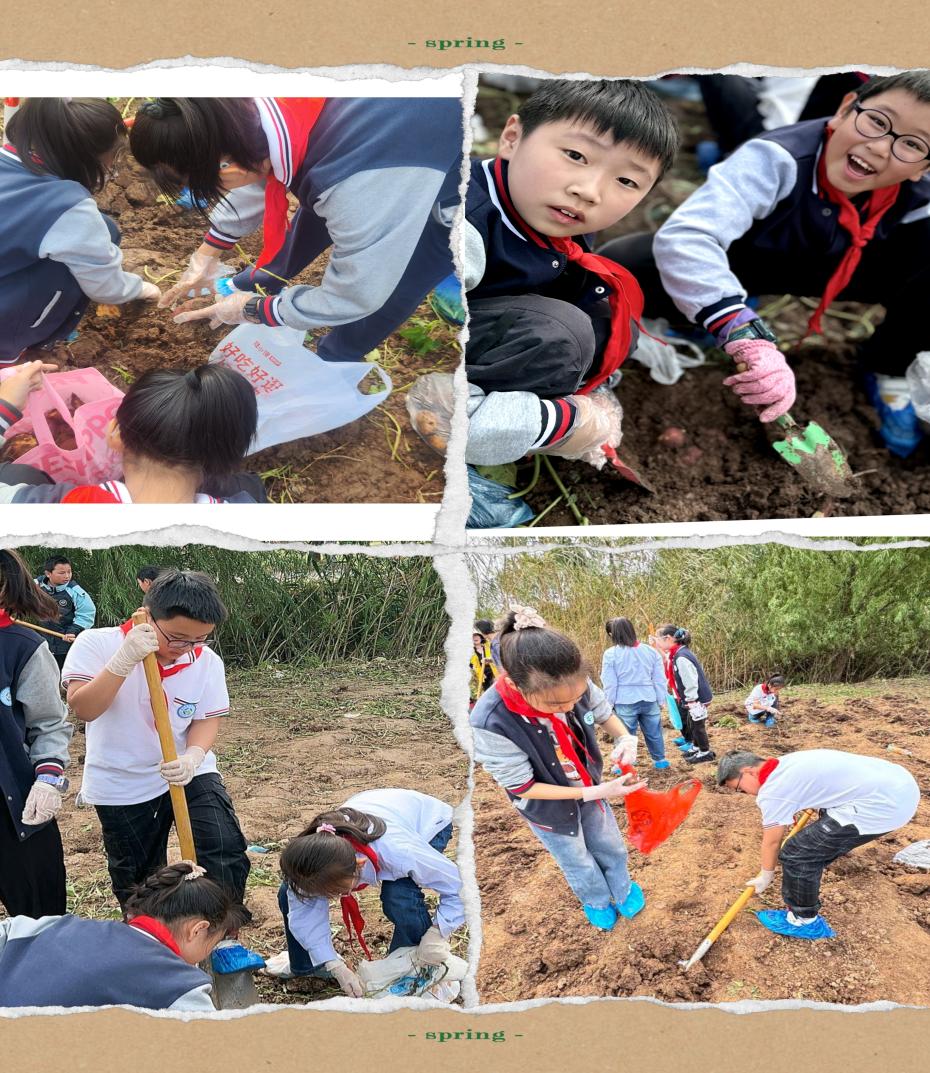 2024.10.15-杨雨馨【大爱青秀德育】秋游陌上花渡：一场农耕文化的奇妙之旅_html_70047c04.jpg