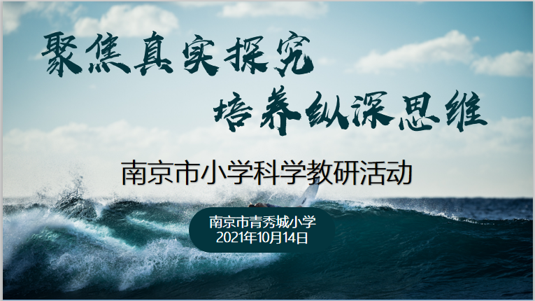 【大爱青秀】聚焦真实探究，培养纵深思维