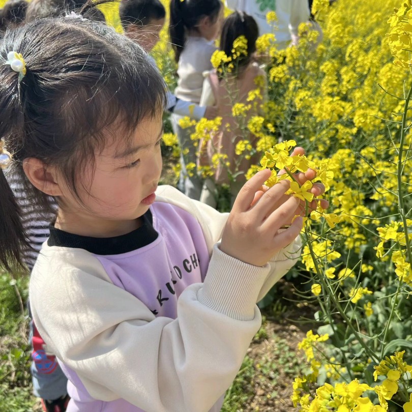 【乐活龙幼】邂逅烂漫春光 漫步油菜花海 ——记龙潭幼儿园龙岸分园中班组远足踏春活动