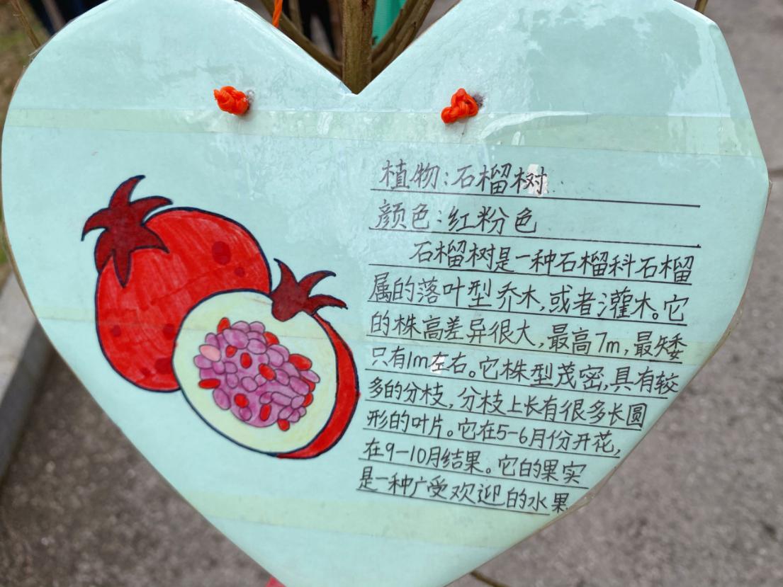20213.12植树节活动_html_62390b22.jpg