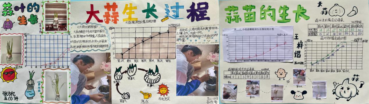 20240412五年级数学实践活动报道_html_b18ccc9.jpg